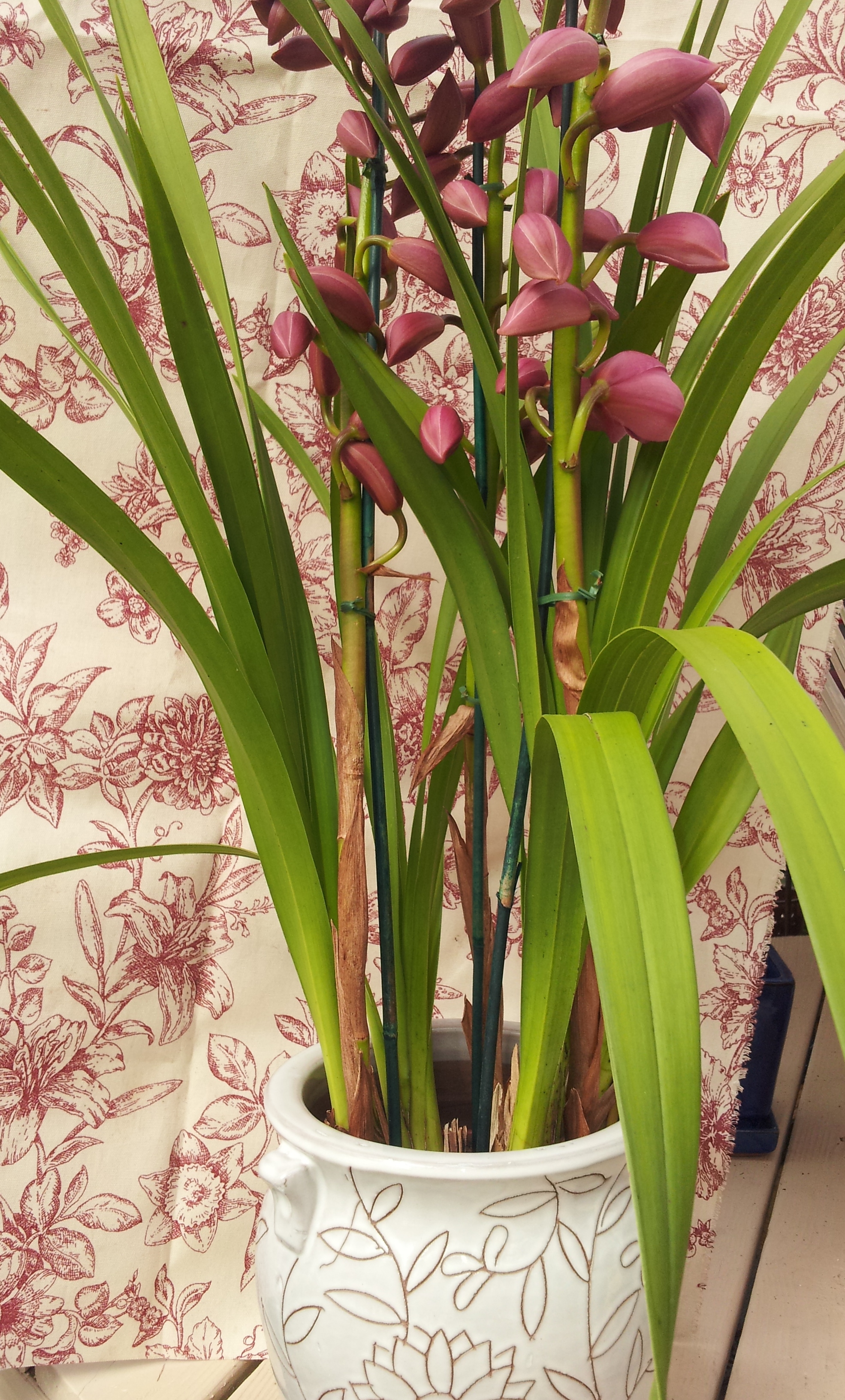 8 popular restaurants in greenville to celebrate valentine’s day Valentines Day