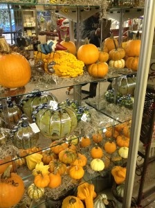 pumpkins, gourds