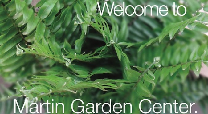 Martin Garden Center - Annuals, perennials, herbs, shrubs ...
